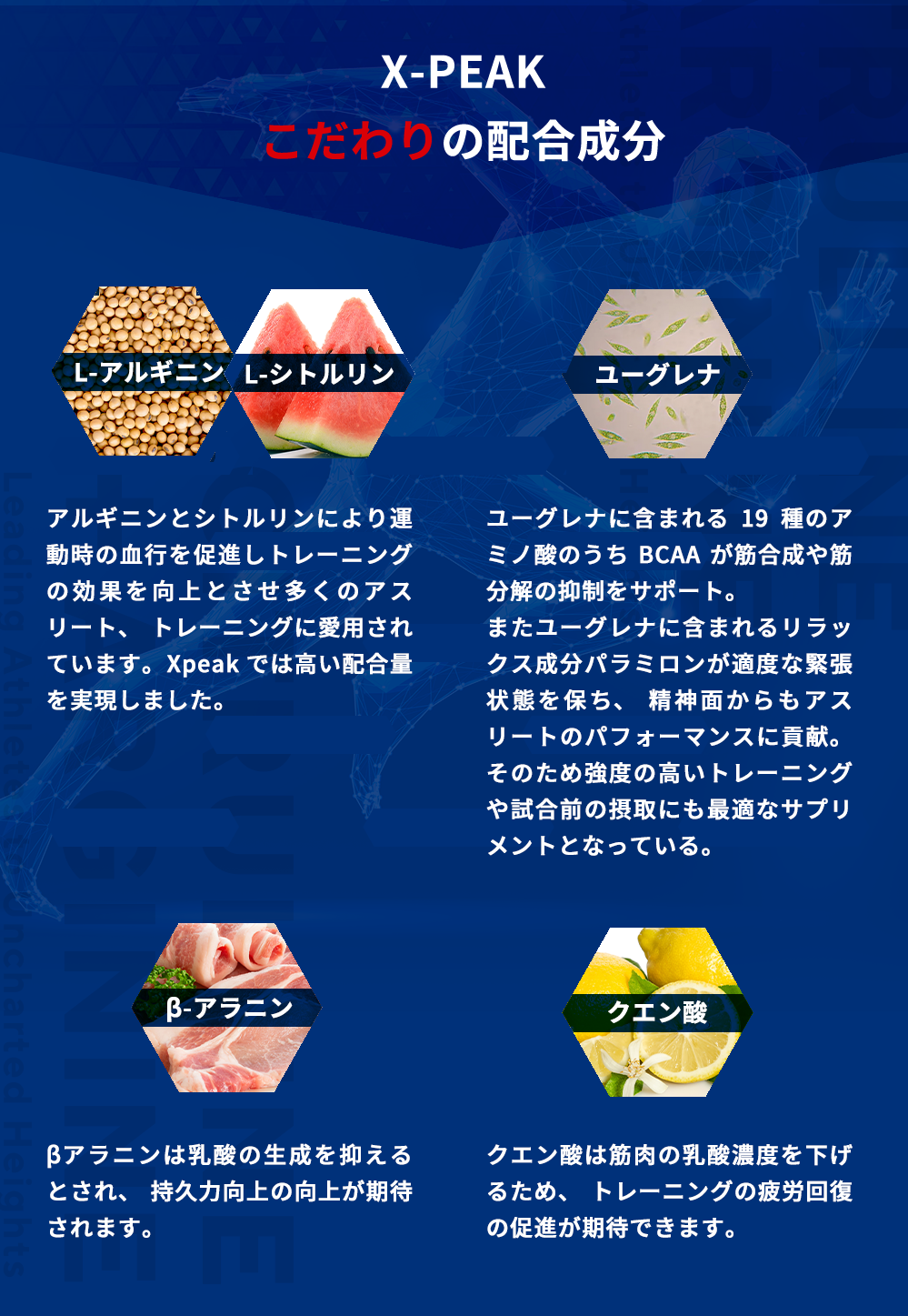 X-PEAKのこだわりの配合成分